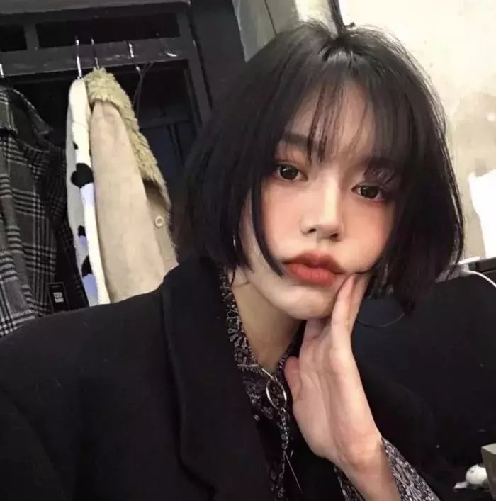 我的朋友是萌鲨